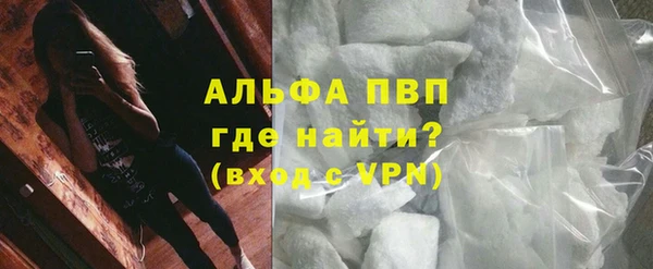 стаф Новокубанск