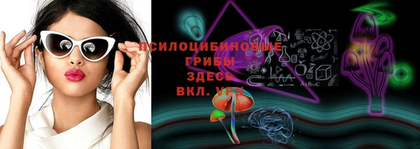мескалин Новозыбков