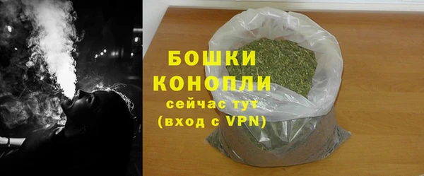 стаф Новокубанск