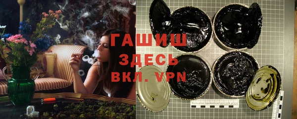 стаф Новокубанск