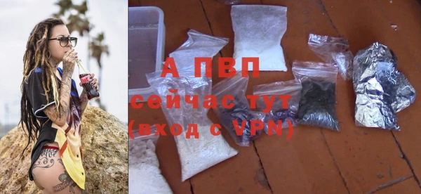 стаф Новокубанск