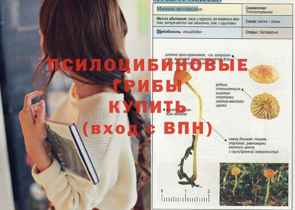 мескалин Новозыбков