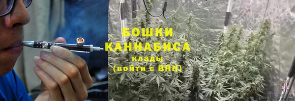 стаф Новокубанск