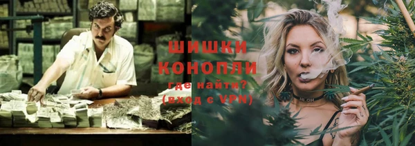 стаф Новокубанск
