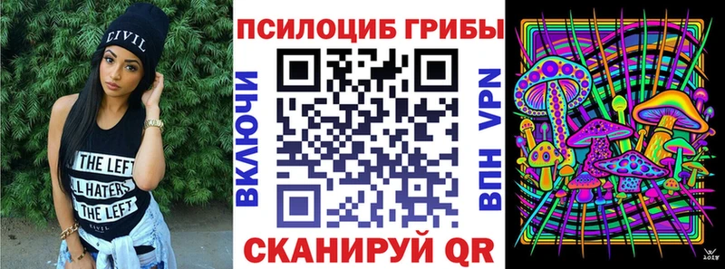 Псилоцибиновые грибы Magic Shrooms  закладки  hydra зеркало  Туран 
